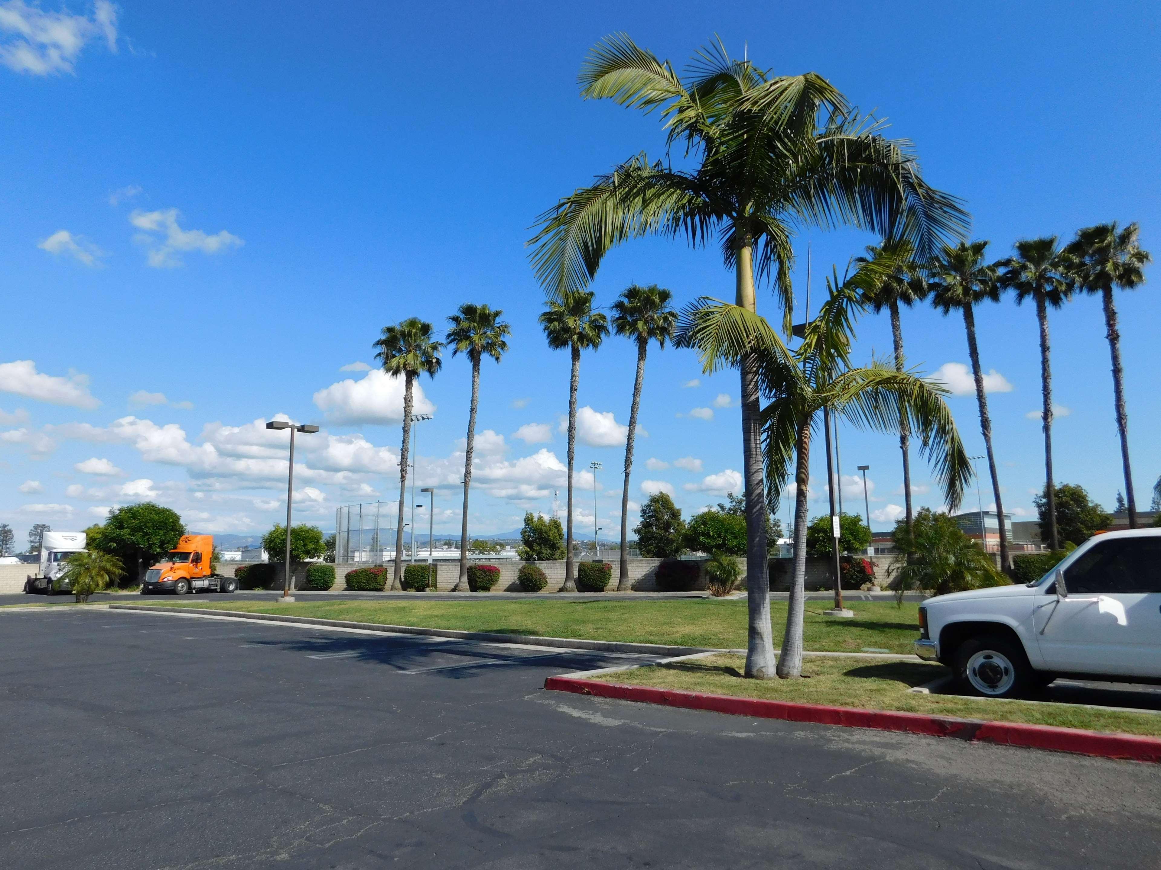 Best Western Plus - Anaheim Orange County Hotel Placentia Zewnętrze zdjęcie