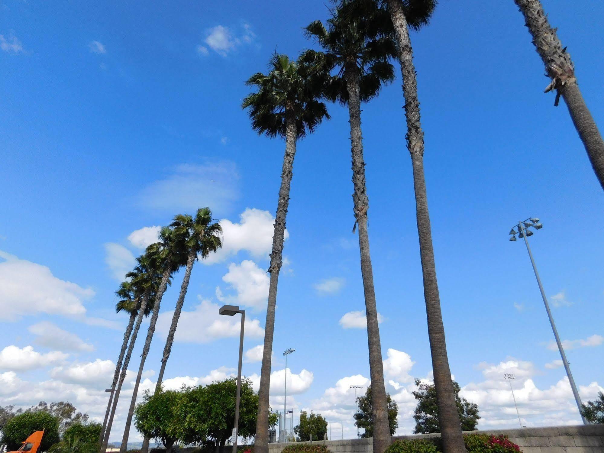 Best Western Plus - Anaheim Orange County Hotel Placentia Zewnętrze zdjęcie